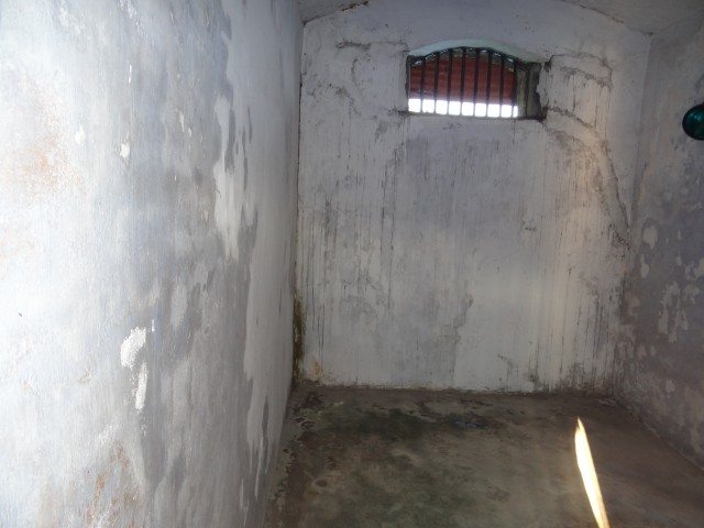 One of the many cells