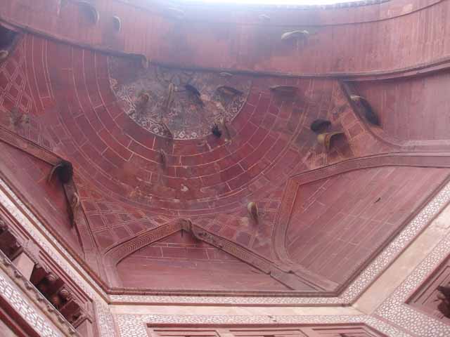 Darwaza Guarded by Honey Bees :-)