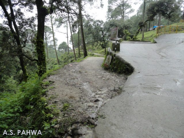 here you have to leave the pukka road and opt the katccha road for shanti raj resort