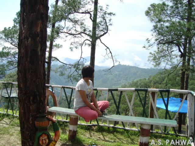 Morning too brings.its own glory