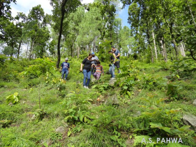 For the search of leopards