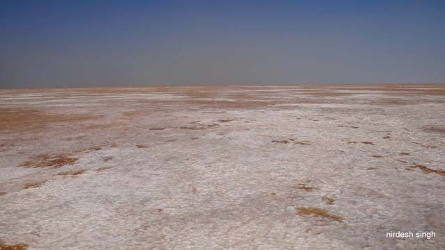 Great Rann of Kutch