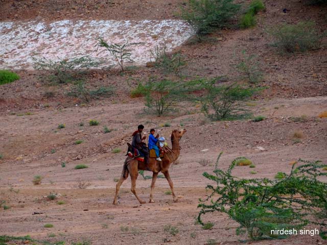 Kalo Dungar - Lets  see who makes it first to the top