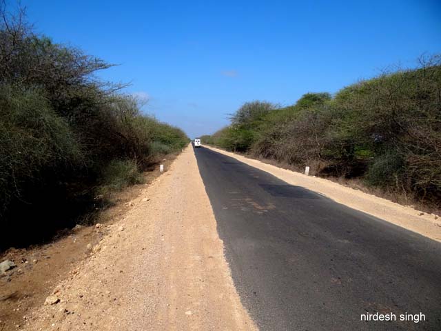 Kutch - Road to Kothara