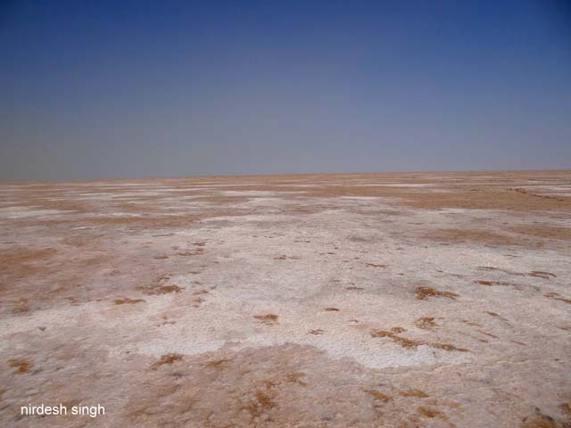 White Desert