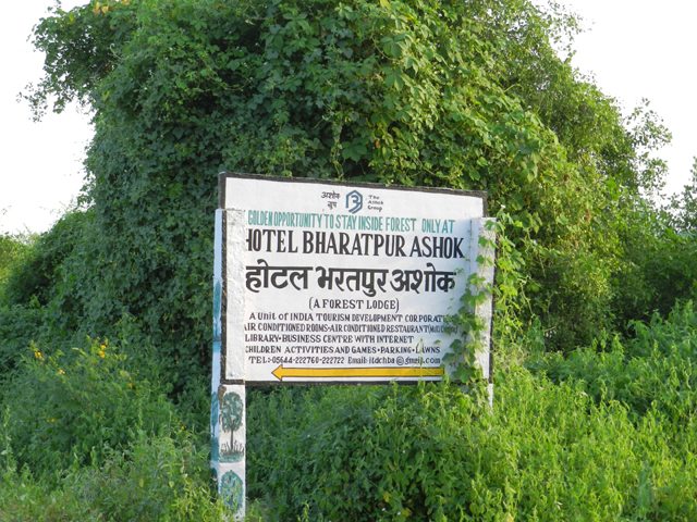 Bharatpur Ashok Board