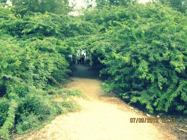 Entrance to Henry Island Beach