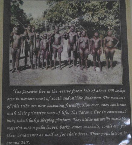 Jarwa reserve forest