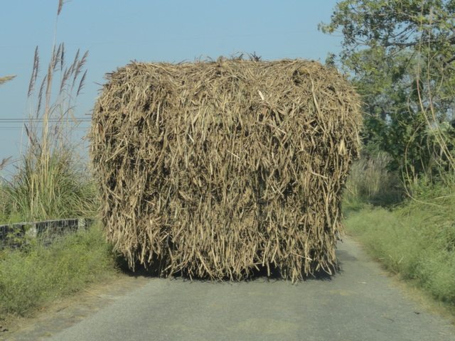 जब आपके आगे गन्ने से लदा कोई ट्राला या बुग्गी हो, तो आप सिवाय मौका मिलने के अलावा और क्या कर सकते हैं