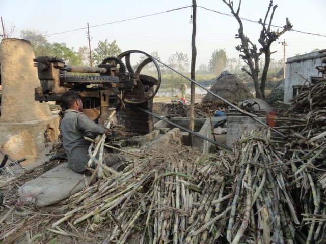 Step B, फिर इस गन्ने की पिराई अर्थात इसका रस निकाला जाता है