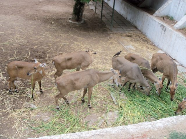 Kaafi kuchh hai khane ko