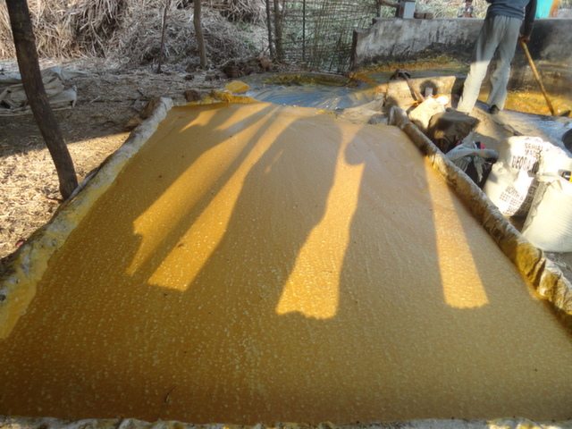 Step E फिर इस तैयार गुड़ को सेट होने के लिये इस तरह से बिछा दिया जाता है