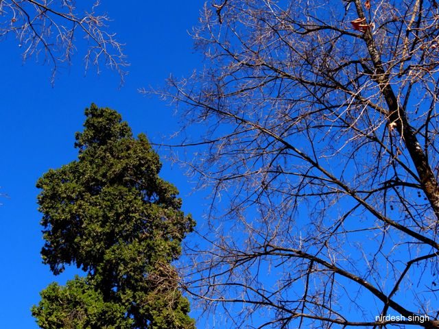 Nainital - Phases of Life Reflected in Cobalt Blue Skies