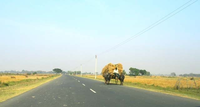 Bullock carts greeting us