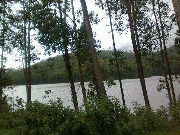 किनारे बैठ कर बंसी बजाते हैं 