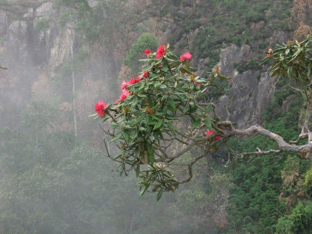 मनोरम सौंदर्य