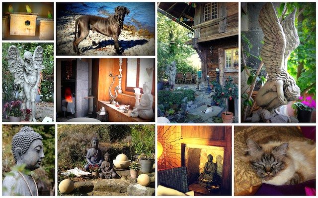 Highlights of the stay at Spiez