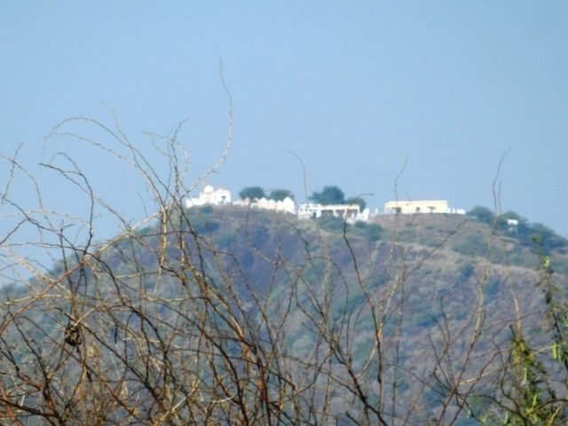 Abandoned Shrine on Hillock