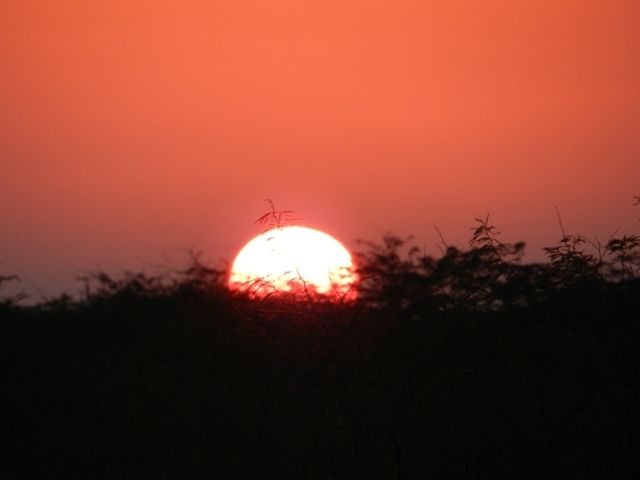 Soothing Sunset at Lakhpat