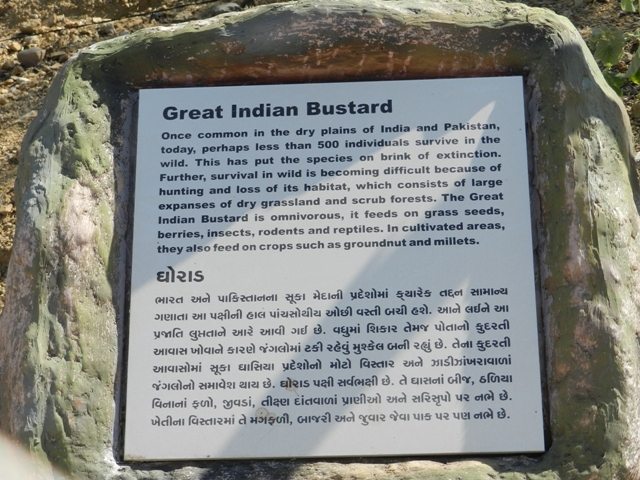 Educating about an Extinct Specie