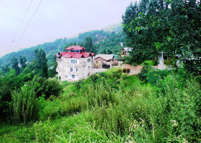 रास्ते में लिया एक चित्र