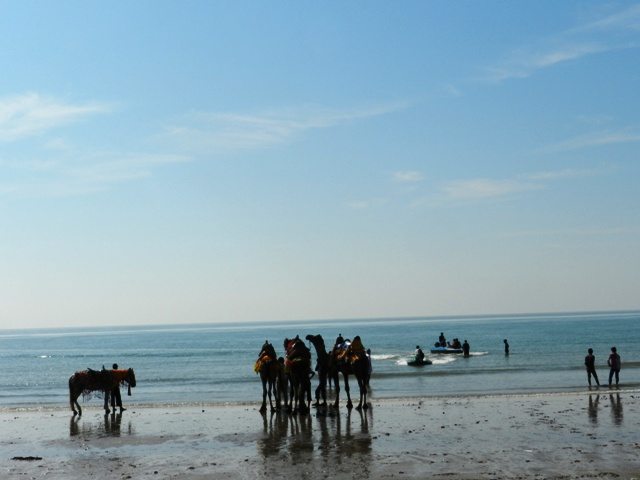 Activities at Mandvi