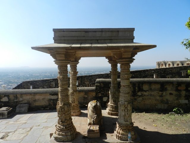 Nandi under Canopy