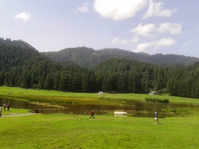 Green Meadows Khajjiar