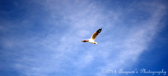 Not All Who Wander Are Lost