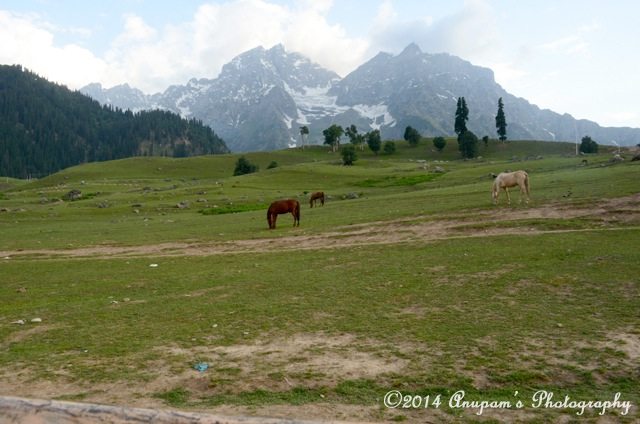 A view from Hotel Sunshine