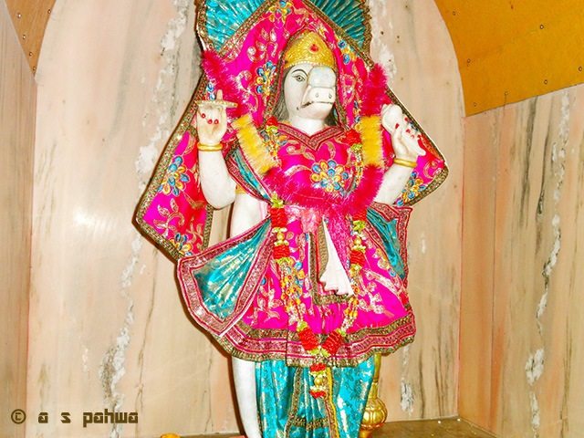 रेणुकाजी मन्दिर के भीतर वरहा भगवान् की मूर्ति