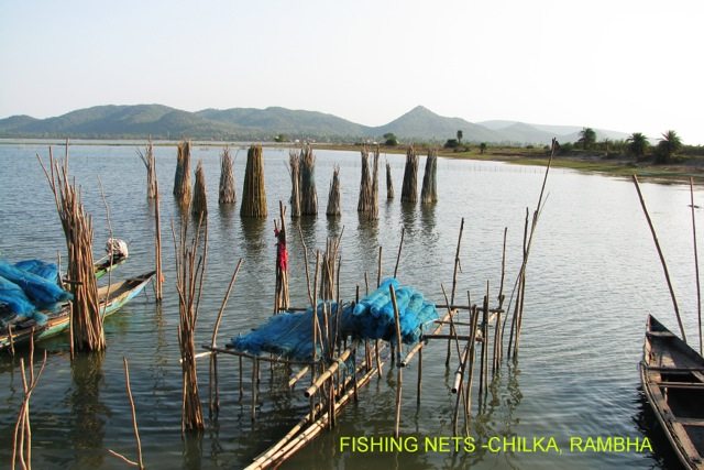 Fishing Nets at Chilka, Rambha