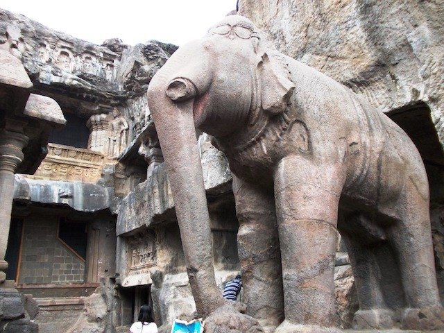 Elephant in open courtyard 
