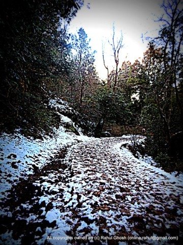 Alternative way to reach Tiffin top