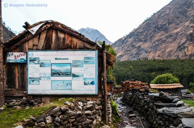 Mustang welcomed us at Ghasa