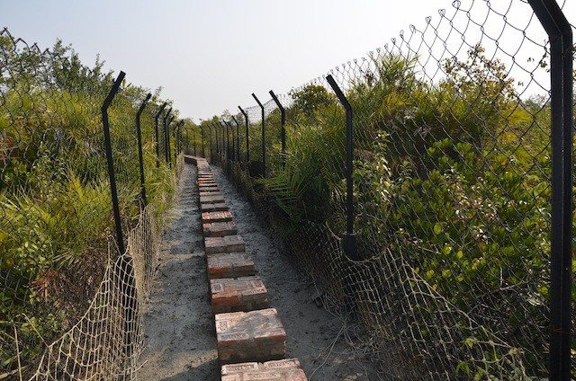 Narrow Walkway Inside the Island