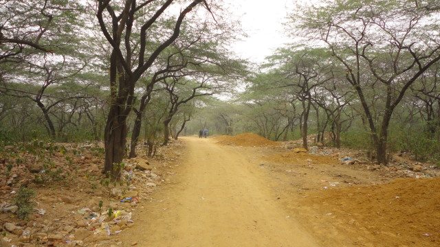 The trail towards Dargah