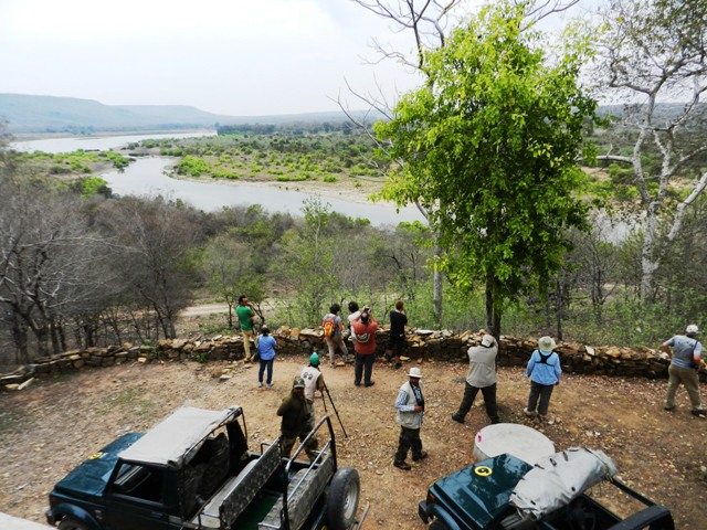 A vigil team spotting the Tigress & Cubs