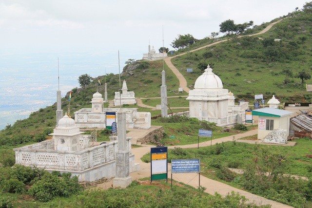 So many Tonks on the hill