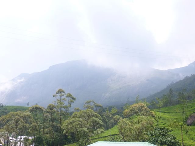 Enroute Ernakulam National Park