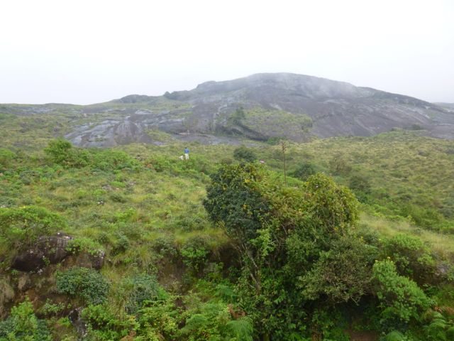 Nilgiri Hills