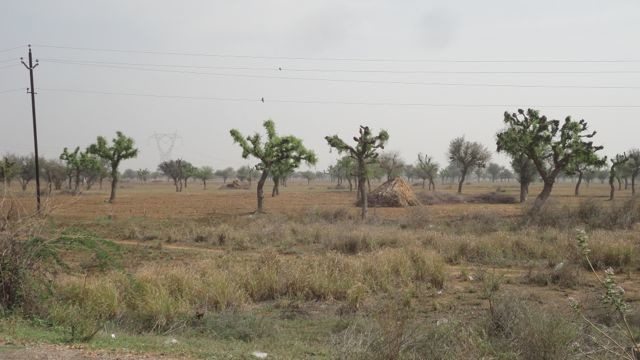 Deserted Highway amidst semi-arid terrain