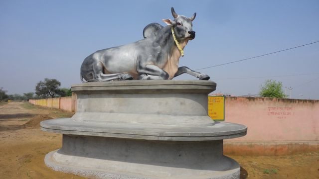 The mighty bull of Village Gara-khera