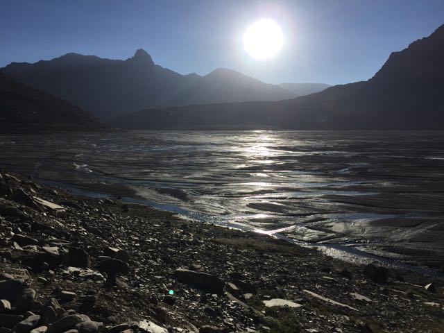 morning sun wanted to show off