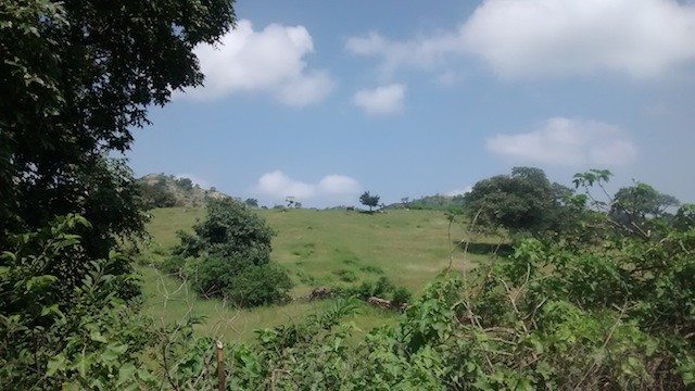 बस से बाहर का दृश्य