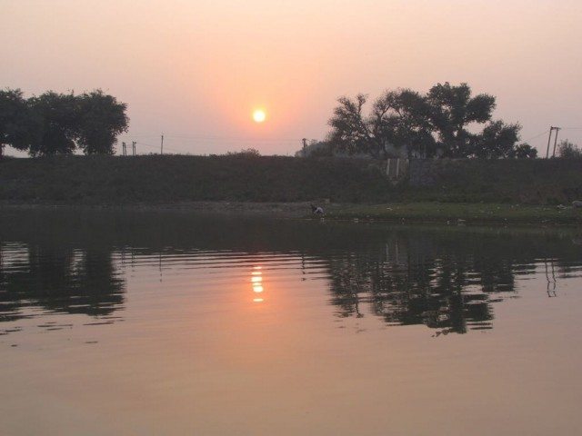 the sight was tranquilizing