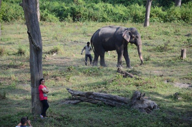 The beauty and the beast. Not a safe combination in a forest.