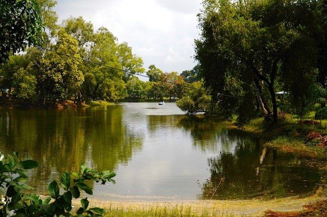 The lake inside the park where boating is done
