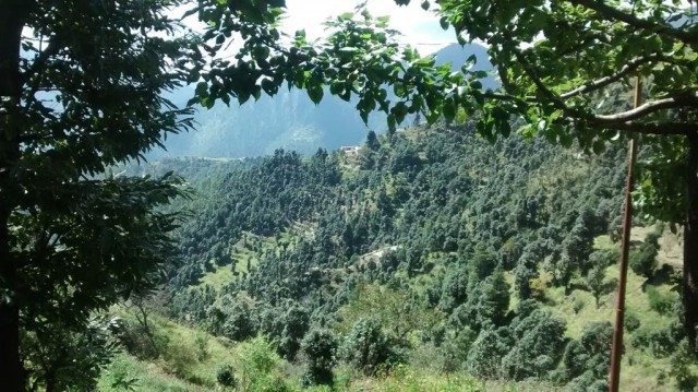 कान्ताल का एक व्यू