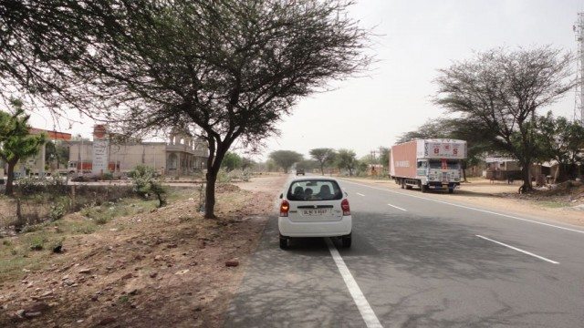 Charismatic Salasar and black bucks at Tal Chhapar